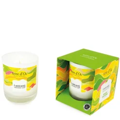 Fabrique de Styles Bougie parfumée Mandarine Yuzu - Laotong* Bougies Parfumées