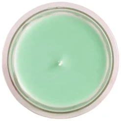 Fabrique de Styles Bougie sous le figuier 220g* Bougies Parfumées