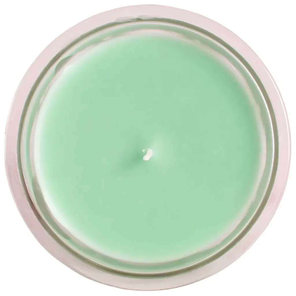 Fabrique de Styles Bougie sous le figuier 220g* Bougies Parfumées