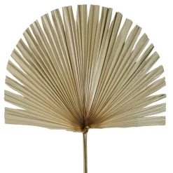 Fabrique de Styles Branchage palmier 50xh96cm feuille de palmier* Fleurs Séchées