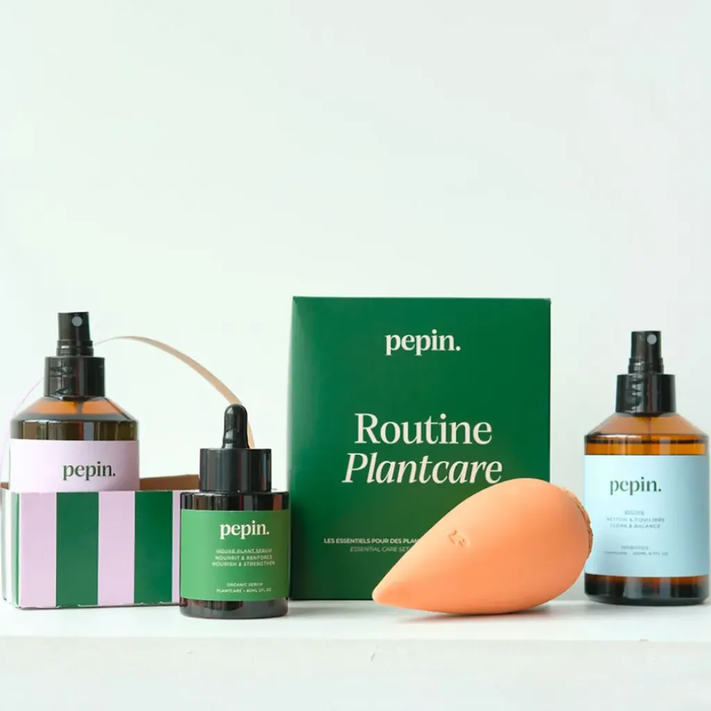 Fabrique de Styles Coffret 4 pièces routine plantecare* Accessoires