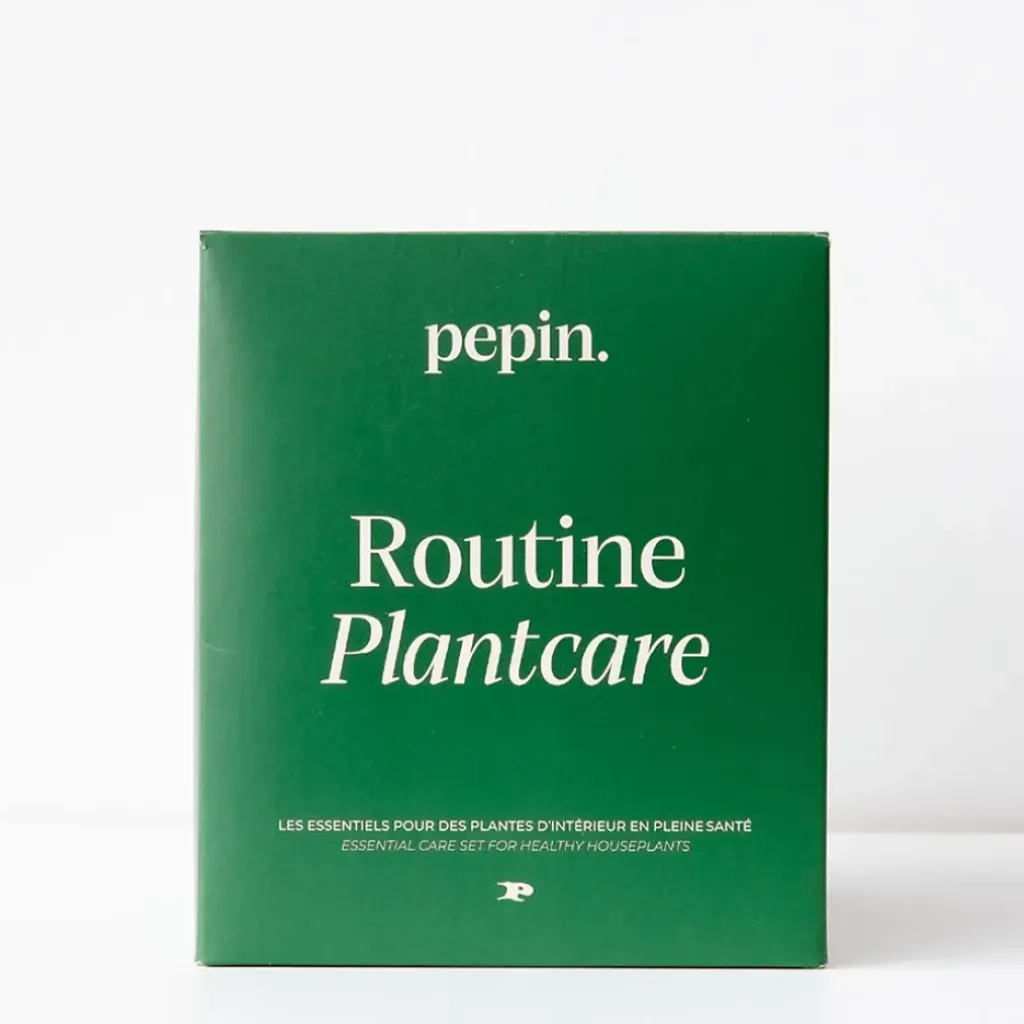 Fabrique de Styles Coffret 4 pièces routine plantecare* Accessoires