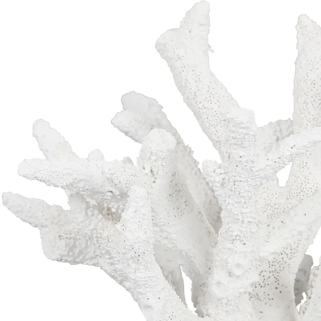 Fabrique de Styles Déco corail en relief - bordemer* Petits Objets Déco