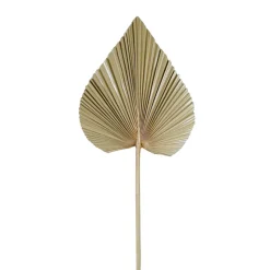 Fabrique de Styles Feuille de palmier h62cm - Golden* Fleurs Séchées