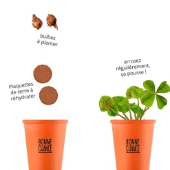 Fabrique de Styles Kit message bonne chance - trèfle à 4 feuilles* Prêt À Pousser