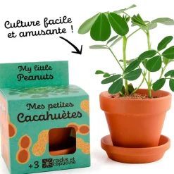Fabrique de Styles Pot d8cm avec coupelle cacahuète* Prêt À Pousser