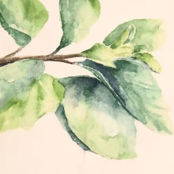 Fabrique de Styles Set de 5 torchons aroma vert et lin en coton* Serviettes De Table