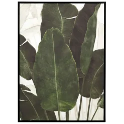Fabrique de Styles Tableau en toile encadré feuilles 52x72cm - Gallery* Tableaux Et Toiles