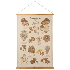 Fabrique de Styles Toile "encyclopédie champignon" 77x110cm* Tableaux Et Toiles